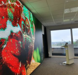 In einem Büroraum wurde an einer Wand ein LED-Display über die ganze Breite installiert. Auf der Wand wird ein rot-grünes Chamäleon abgebildet. Vor der Wand steht ein Sprecherpult für Präsentationen, die dank der Wand verbildlicht werden.