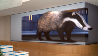 In einem modernen Raum wurde hinter einer Holztreppe eine über Eck laufende LED-Wand integriert. Das an einer beigen Wand angebrachte LED-Display zeigt einen Dachs, welcher durch seine Nase und den ausgeschnittenen Rücken wie 3D wirkt.
